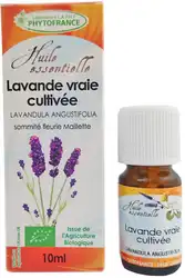 HE Lavande vraie cultivée Bio.jpg
